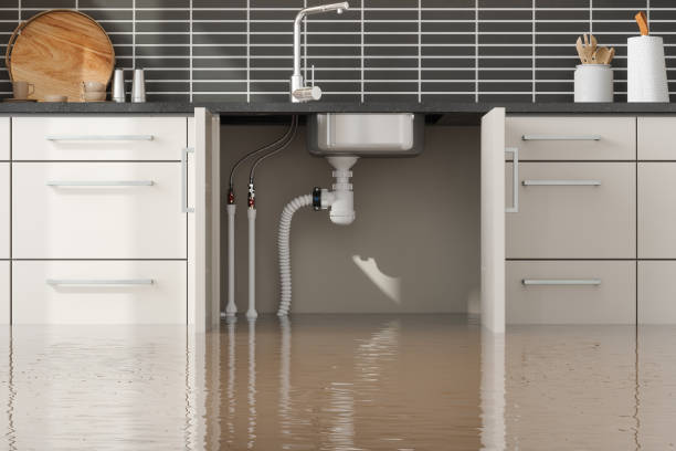 Best Water damage restoration near me  in Sturgis, KY