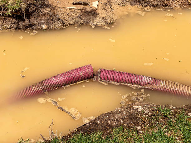 Best Residential water damage restoration  in Sturgis, KY